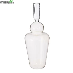 Singleflwr Nisa D10.5h27cm Lime