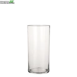 Vaas Dani D19 H40cm Transparant