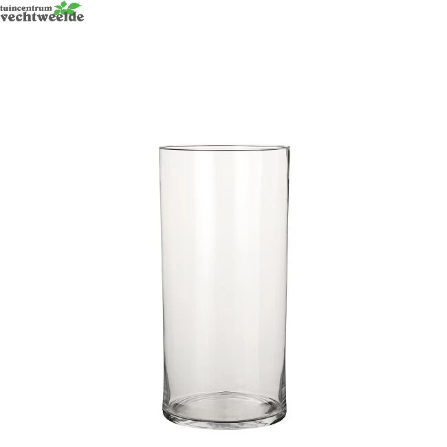 Vaas Dani D19 H40cm Transparant 3 Vaas Dani D19 H40cm Transparant