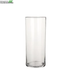 Vaas Dani D19 H48cm Transparant