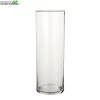 Vaas Dani D19 H55cm Transparant -Huisdecoratie Winkel vaas dani d19 h55cm transparant 650x650 6207394bf18ff l