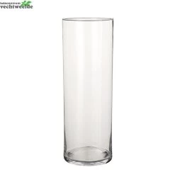 Vaas Dani D19 H55cm Transparant