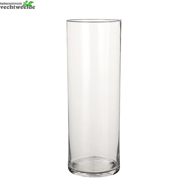Vaas Dani D19 H55cm Transparant 3 Vaas Dani D19 H55cm Transparant
