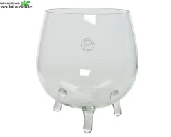 Vaas Glas Voet D22h26cm Helder