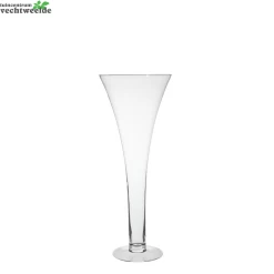 Vaas Martini D20 H60cm Transparant