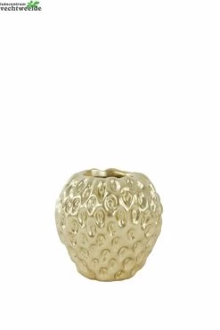 Vaas Strawberry L15b14.5h14.5 Goud