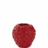 Vaas Strawberry L15b14.5h14.5 Rood